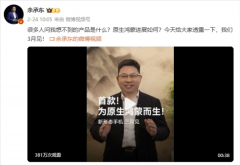 华为设想师激进！鸿蒙全新形态手机来袭：一款